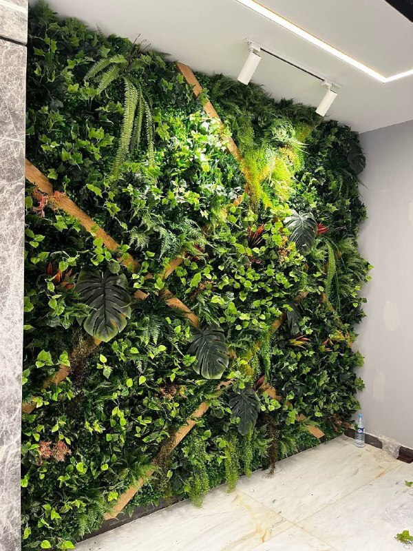 فروش و اجرای گرین وال وارداتی استوایی
