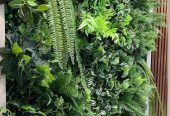 فروش و اجرای گرین وال وارداتی استوایی