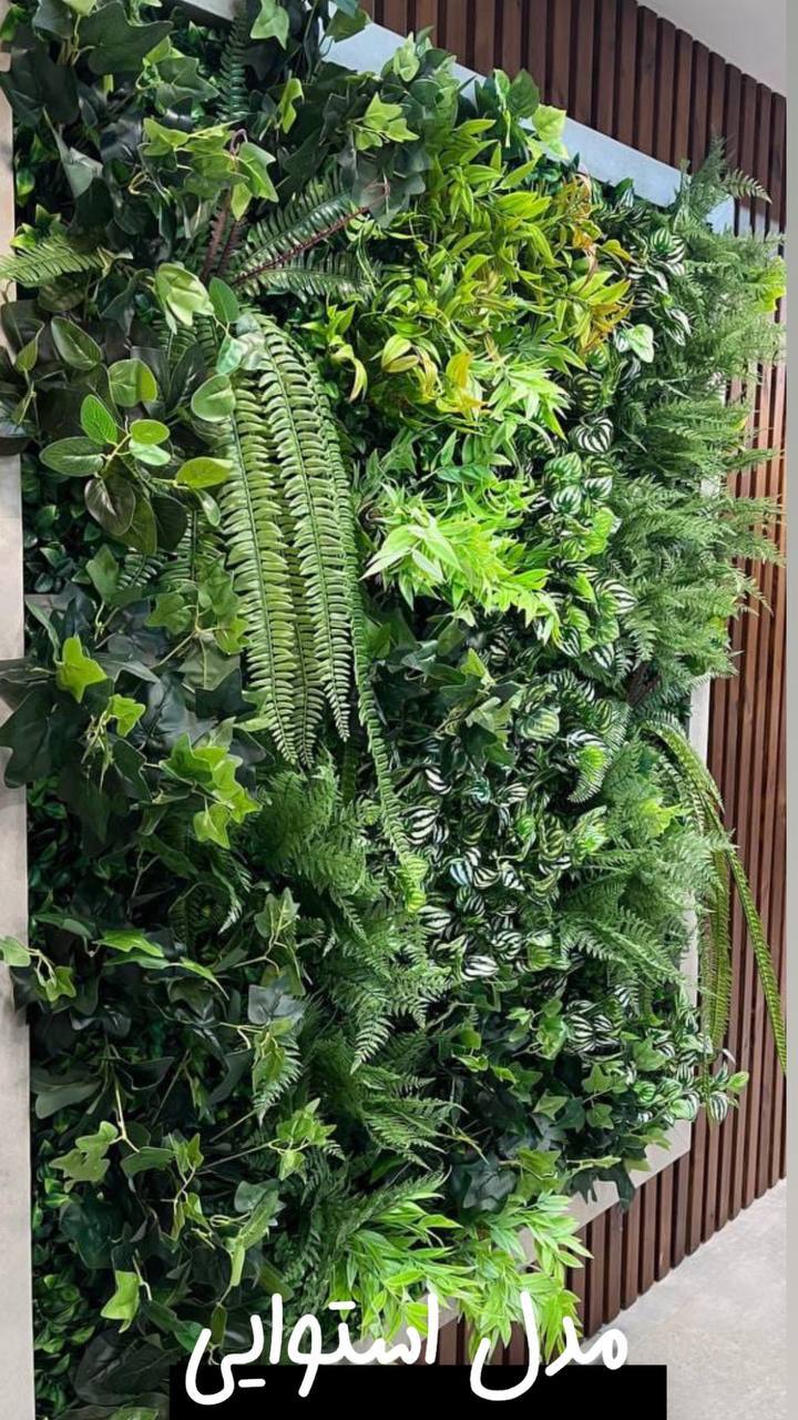 فروش و اجرای گرین وال وارداتی استوایی